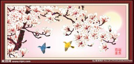 玉兰花