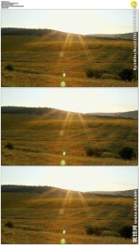 夕阳下辽阔的农田