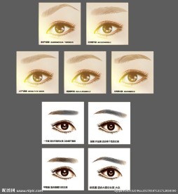 AI逼真纹眉眼睛眉毛矢量图