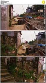 里约热内卢贫民窟