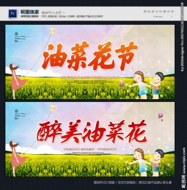 油菜花