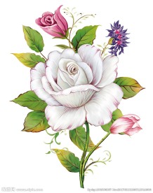 白玫瑰 图层分层