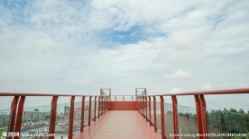 泗阳生态公园观景台