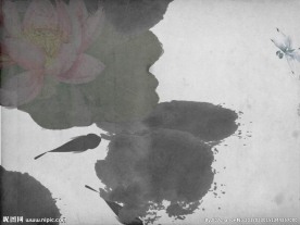 水墨莲花鱼儿游动30秒动画