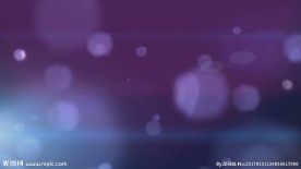 紫色粒子光斑