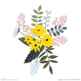 春天精美花朵素材