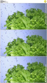 水滴绿色蔬菜