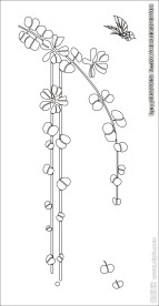 花草移门缕空玻璃雕刻刻绘图案