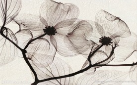 简约艺术抽象背景墙装饰画