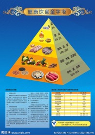 健康饮食金字塔