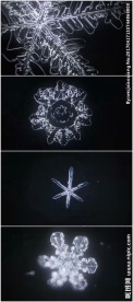 雪花冰晶结晶体