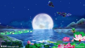 荷花荷塘荷塘月色月夜led