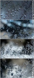 玻璃上结冰花冰晶体