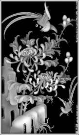 菊花花鸟灰度图