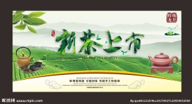 精美龙井茶叶新茶上市展板写真