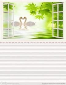 天鹅背景墙移门图案