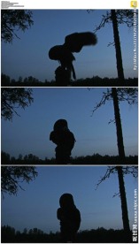 夜间飞行的猫头鹰