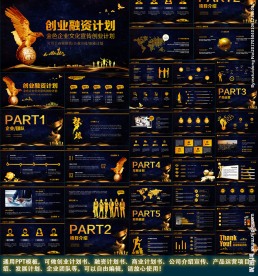 金色商业创业融资计划书ppt