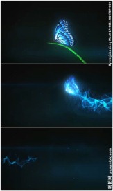 蝴蝶飞行轨迹粒子拖尾