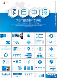 精美项目介绍项目申报PPT模板