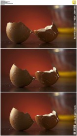 掉落破碎的鸡蛋壳