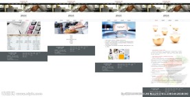 餐饮企业门户网站建设（5-9）