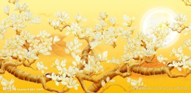 玉兰花