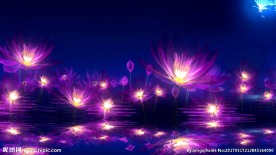 花朵与水背景素材