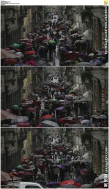 雨巷撑伞的人群