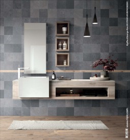 瓷砖效果图   室内  洗手间