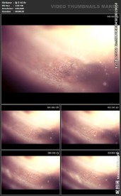 浪漫背景 高级粒子 炫酷 鲜艳