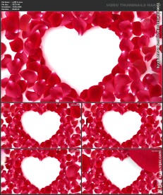 桃心 爱心 婚礼 喜庆 粒子歌