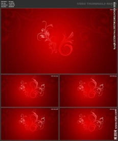 婚礼片头 喜庆 婚庆桃心 春节