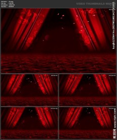 婚礼片头 喜庆 婚庆桃心 春节