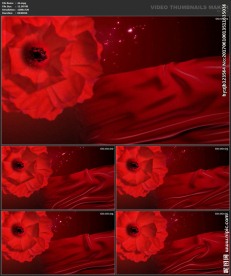 婚礼片头 喜庆 婚庆桃心 春节