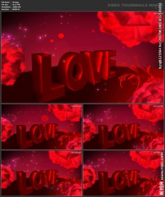 婚礼片头 喜庆 婚庆桃心 春节