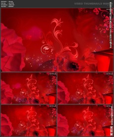 婚礼片头 喜庆 婚庆桃心 春节