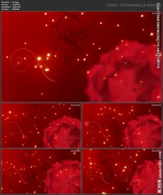 婚礼片头 喜庆 婚庆桃心 春节