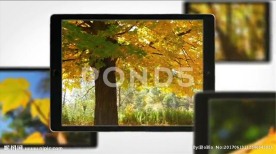 平板电脑内容展示