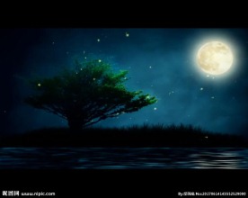 大树萤火虫月亮