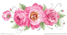 虞美人 通道分层