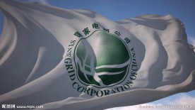国家电网