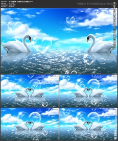 仙境梦幻 唯美浪漫 婚礼背景