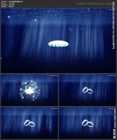 仙境梦幻 贝壳戒指 婚礼背景