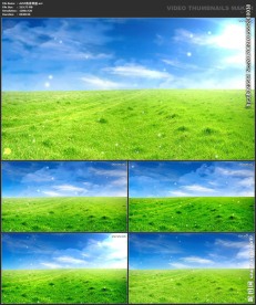 草原蓝天 唯美浪漫 婚礼背景