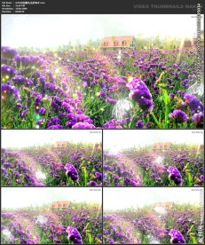 浪漫粒子 田园光晕 唯美粒子