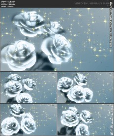 浪漫背景 婚礼婚庆 喜庆节日