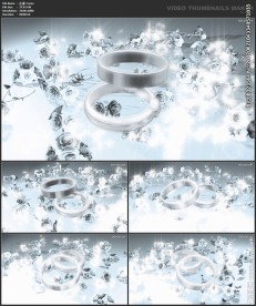 浪漫背景 婚礼婚庆 戒指洁白