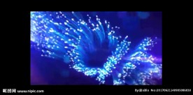 精美绚丽的光点珊瑚标志特效素材