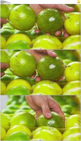 绿色水果